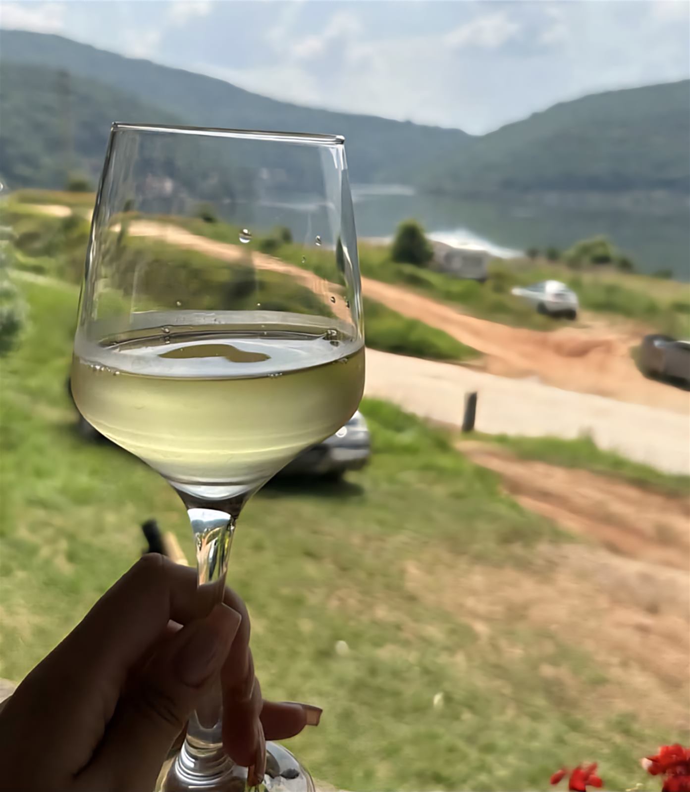 Čaša belog vina sa pogledom na Bovansko jezero